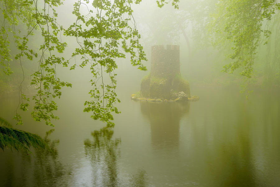 Tower of the Misty Lake Photograph by Mark Rogers