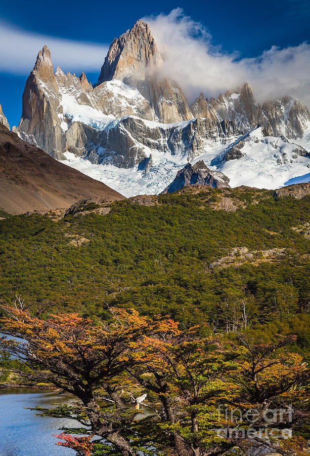 Fall Photograph - Towering Fitz Roy by Inge Johnsson
