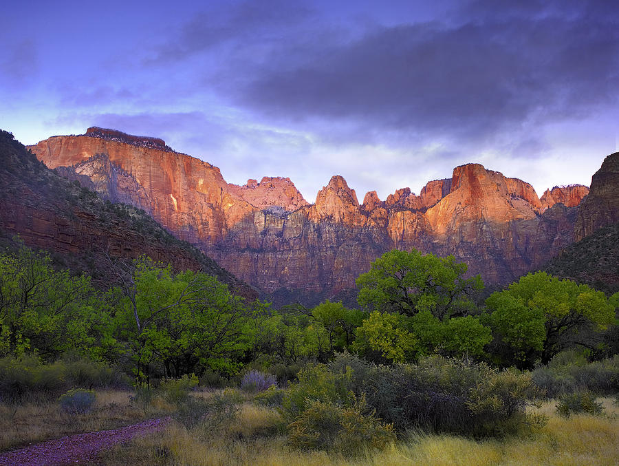 Towers Of The Virgin Zion National Park Photograph by Tim Fitzharris