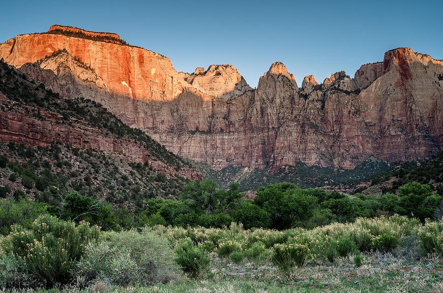 Zion National Park Photograph - Towers of Virgin by Greg Nyquist