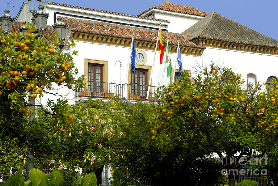 Town Hall in Marbella Photograph by Brenda Kean