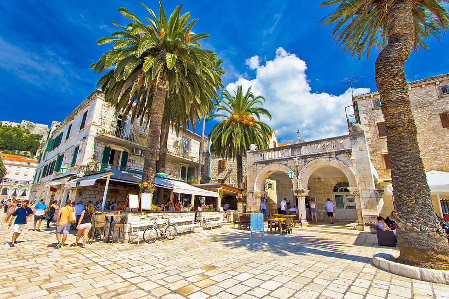 Town of Hvar palm promenade  Photograph by Brch Photography