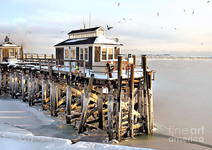 Winter Photograph - Town Pier Frozen by Janice Drew