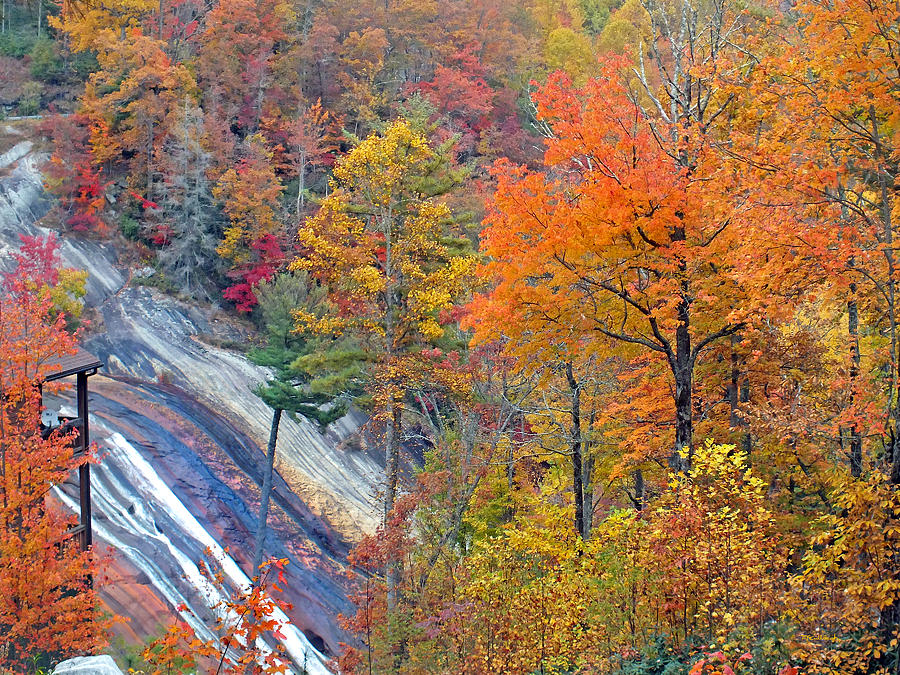 Toxaway Falls in the Fall Photograph by Duane McCullough