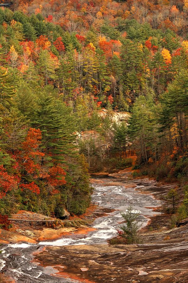 Toxaway River In Autumn Photograph by Carol Montoya