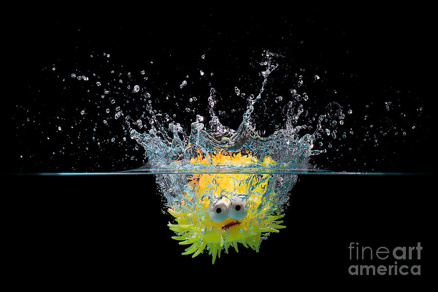 Toy fish splashing into water Photograph by Simon Bratt