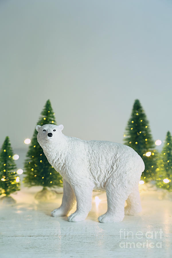Christmas Photograph - Toy polar bear with little trees and lights by Sandra Cunningham