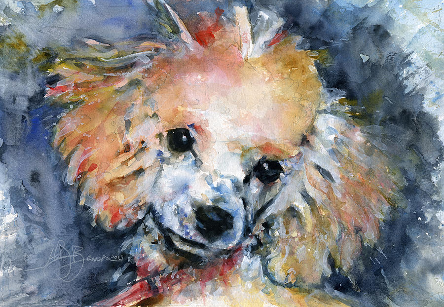 Toy Poodle Painting by John D Benson