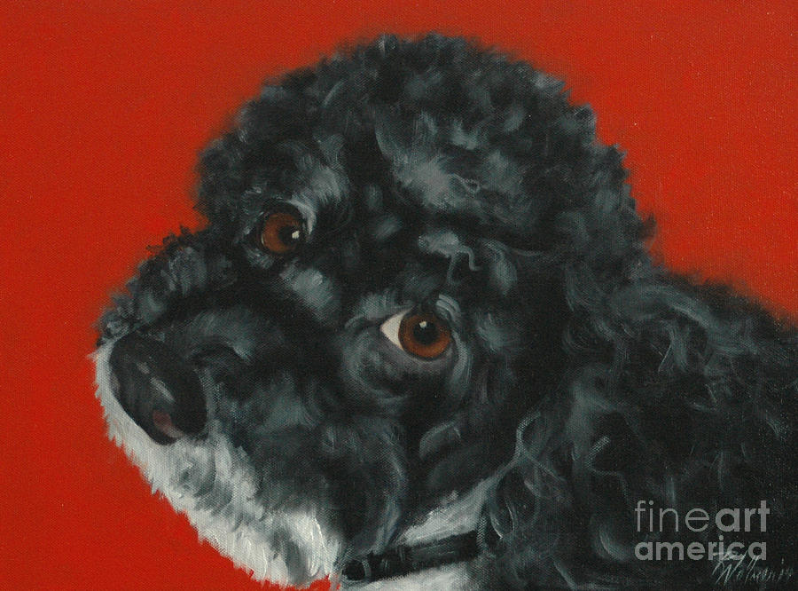 Poodle Painting - Toy Poodle by Pet Whimsy  Portraits
