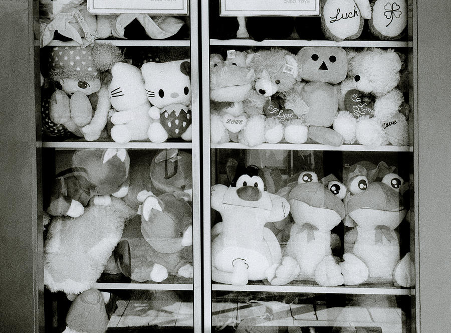 Toy Shop Photograph by Shaun Higson