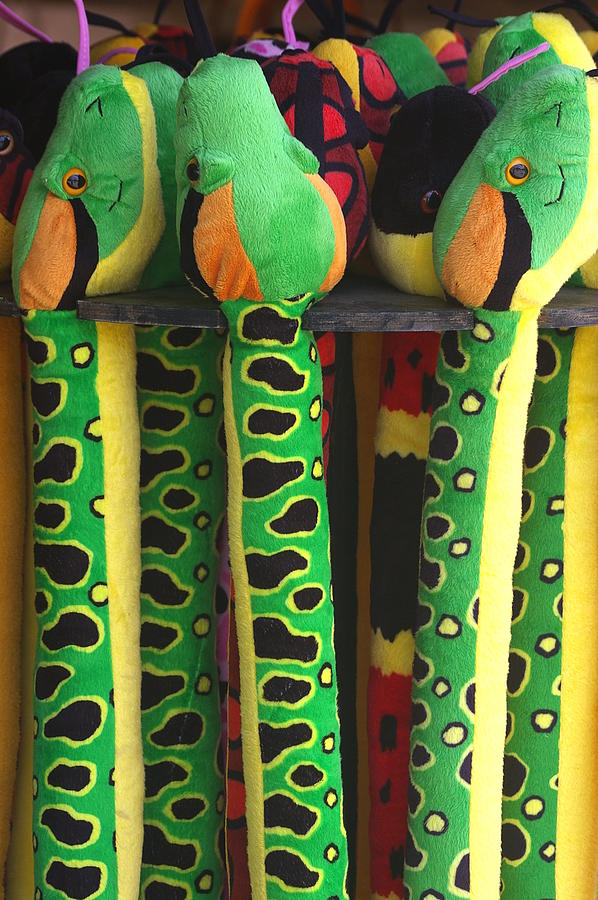 Toy Snakes Photograph by Randy Pollard