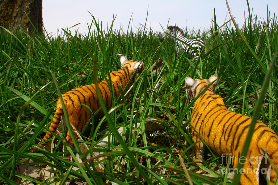 Toy Tiger Hunt Photograph by Kristy Jeppson