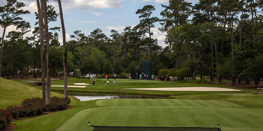 TPC Sawgrass Golf Course Hole 3 Photo 1 Wide Photograph by Phil Reich ...