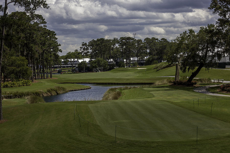 TPC Sawgrass Hole 16 Photo 1 Photograph by Phil Reich - Pixels