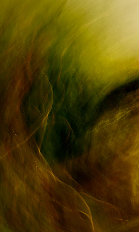 Abstract Photograph - Traces of the wind by Mah FineArt