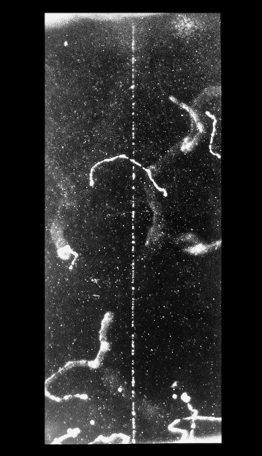 Track Of Fast Beta Ray In Cloud Chamber Photograph by C.t.r. Wilson/science Photo Library