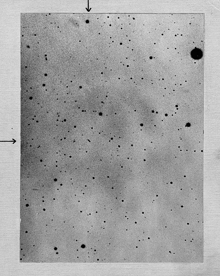 Track Of The Asteroid Sappho Photograph by Universal History Archive/uig