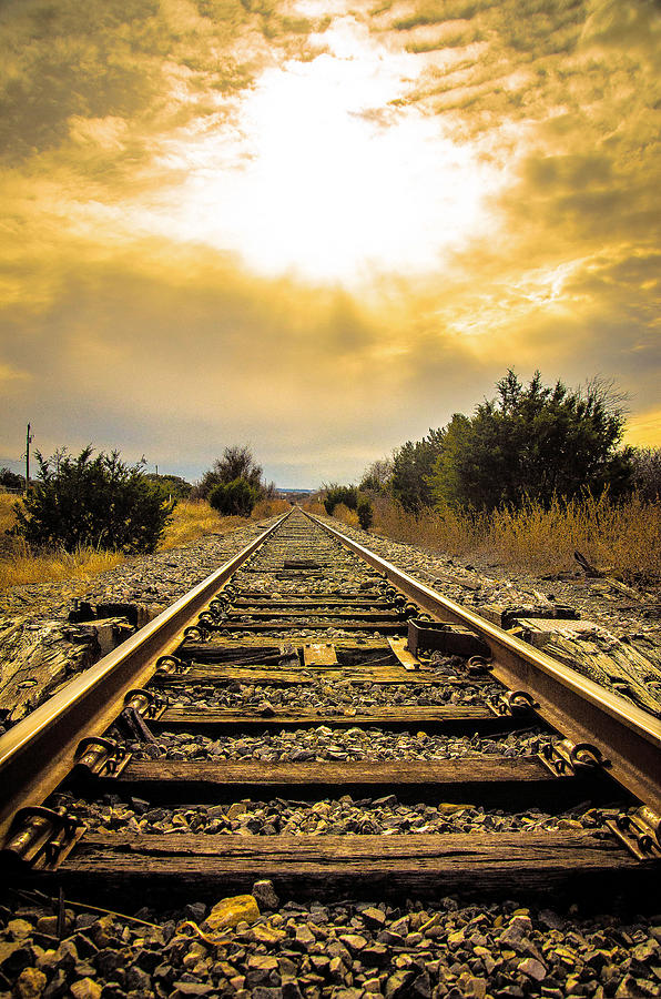 Track To The Sun Photograph by Craig Curlee - Fine Art America