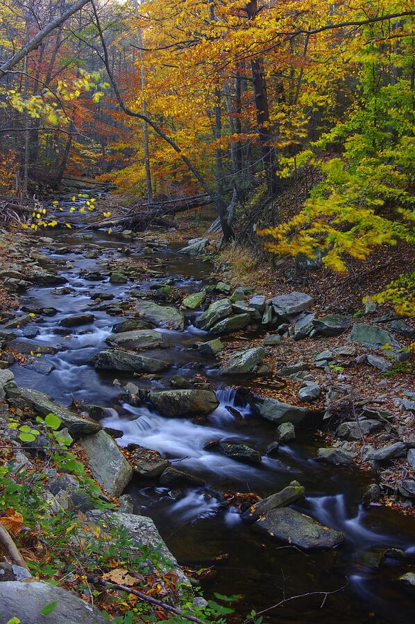 Tracking Color - Big Hunting Creek Catoctin Mountain Park Maryland Autumn Afternoon Photograph by Michael Mazaika