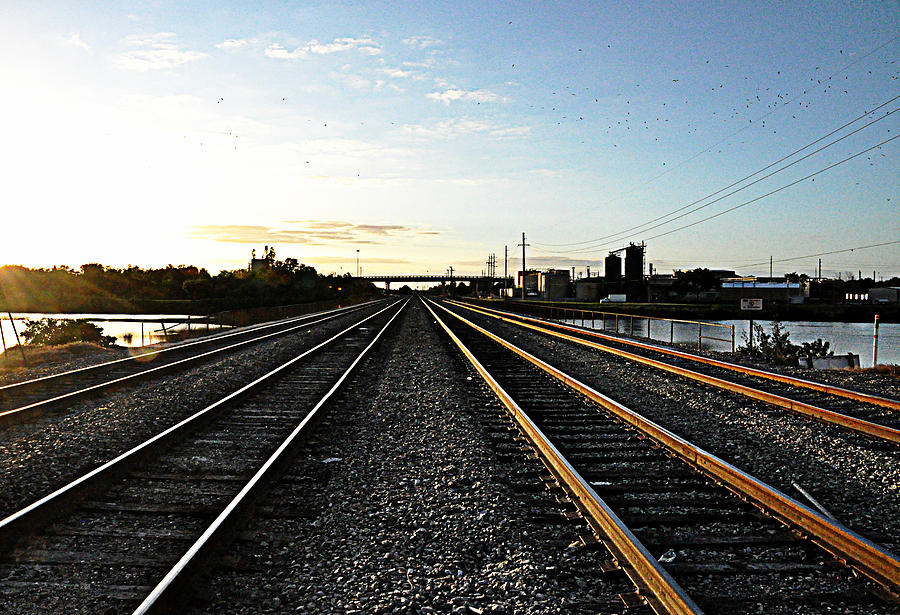 Tracks Ahead Photograph by John Black