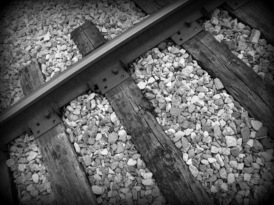 Tracks Photograph by Beth Vincent