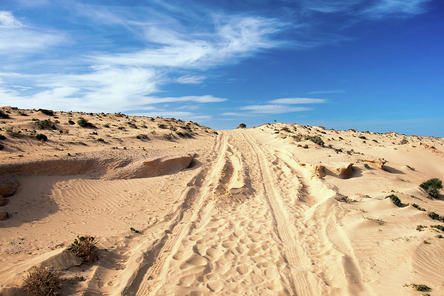 Tracks In Desert Photograph by Wladimir Bulgar