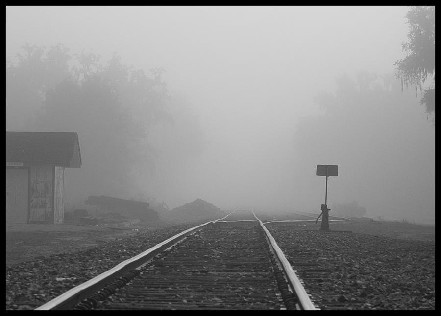 Tracks in Fog Photograph by Farol Tomson