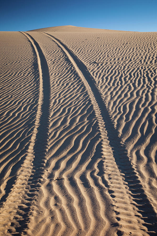 Tracks In The Dunes Photograph by Jan Maguire Photography