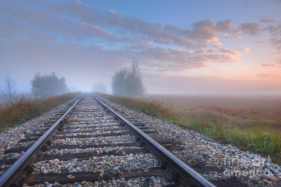 Tracks in the Fog Photograph by Dan Jurak