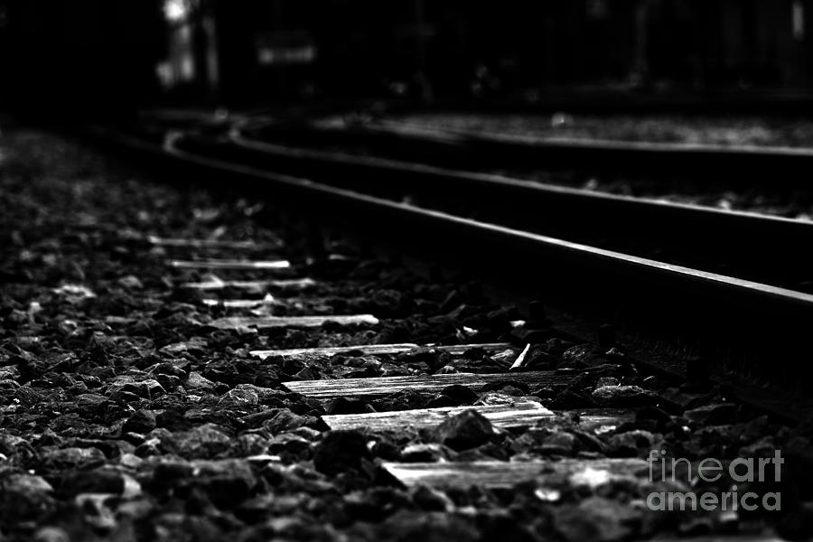Landscape Photograph - Tracks in the night by Four Hands Art