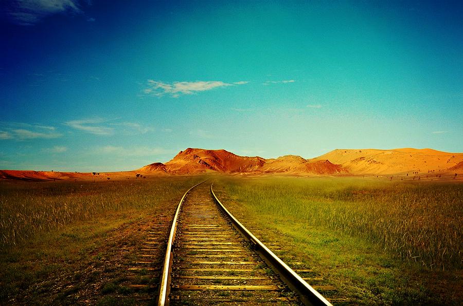 Tracks Into Wilderness Photograph by Movie Poster Prints