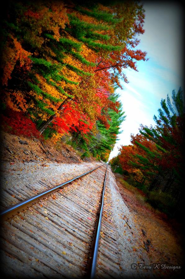 Fall Photograph - Tracks of Fall by Terri K Designs