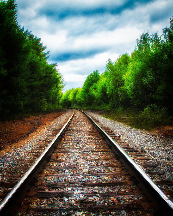 Tracks Through The Woods Photograph by Bob Orsillo