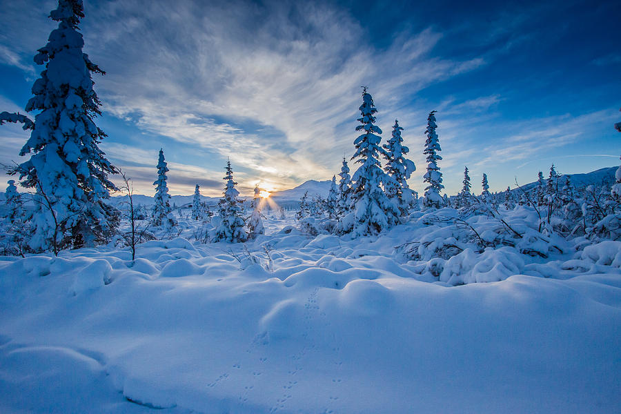 Tracks to Gunsight Mountain Photograph by Blue Ice Alaska - Fine Art ...