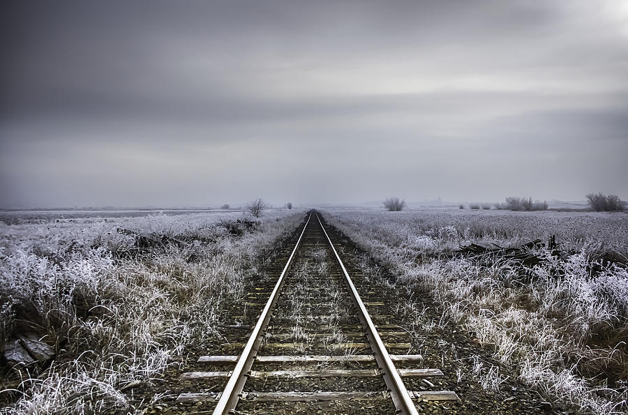 Landscape Photograph - Tracks to No Where by Colby Drake