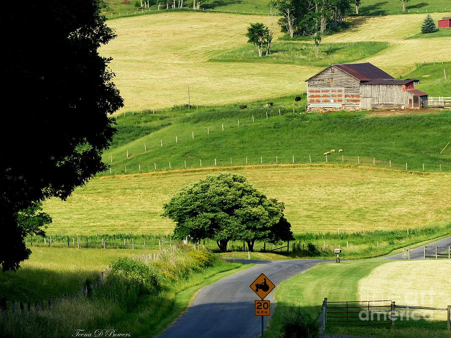 Tractor Country Photograph by Teena Bowers - Fine Art America