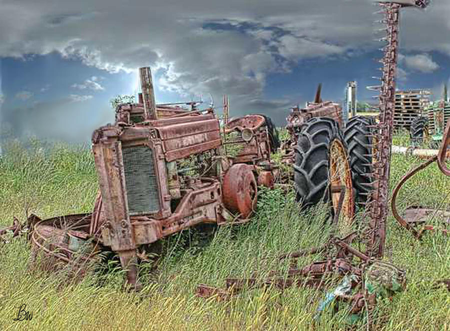Tractor Graveyard Photograph by Bonnie Willis