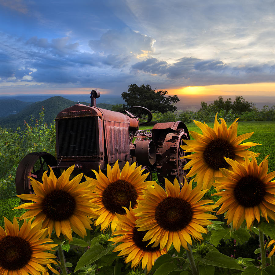 Appalachia Photograph - Tractor Heaven by Debra and Dave Vanderlaan