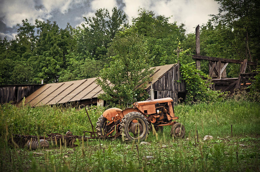 Tractor Photograph by Lisa Bryant