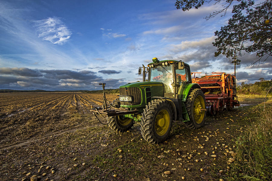 Tractor on a Potato Farm Photograph by Robert Seifert