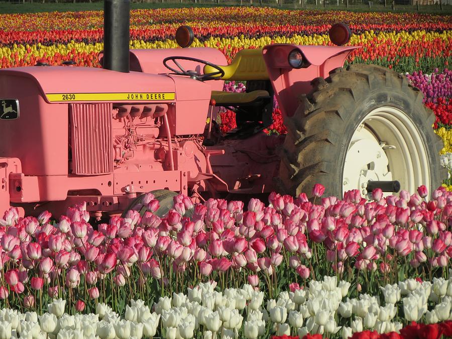 Tractor With Tulips Photograph By Marianne Werner - Pixels