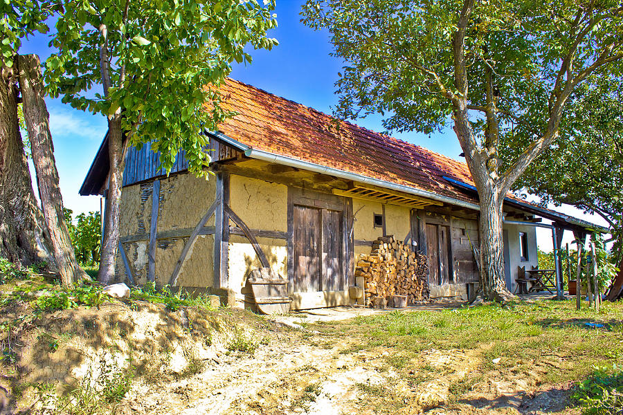 Traditional cottage made of wood and mud Photograph by Brch Photography