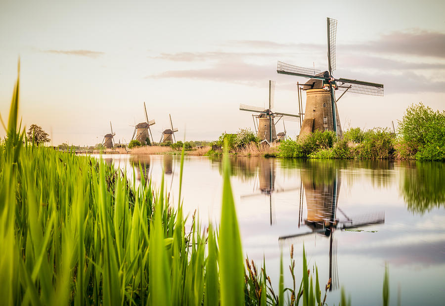 Traditional Dutch windmills at Kinderdijk Photograph by Georgeclerk