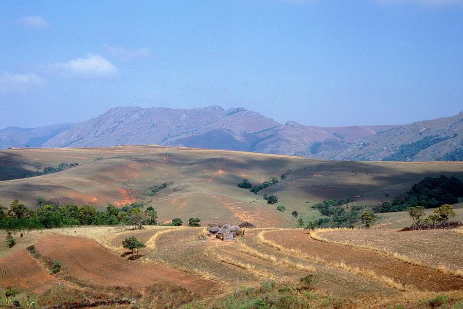 Swaziland Photograph - Traditional Field And Farm In Swaziland by Sinclair Stammers/science Photo Library.