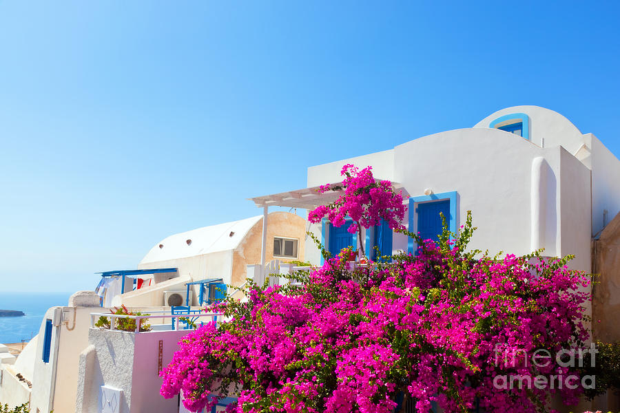 Traditional Greek house with blue windows and flowers outside Santorini Greece Photograph by Michal Bednarek
