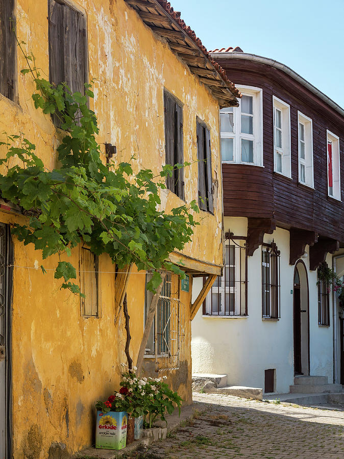 Traditional Houses In Tirilye Photograph by Izzet Keribar