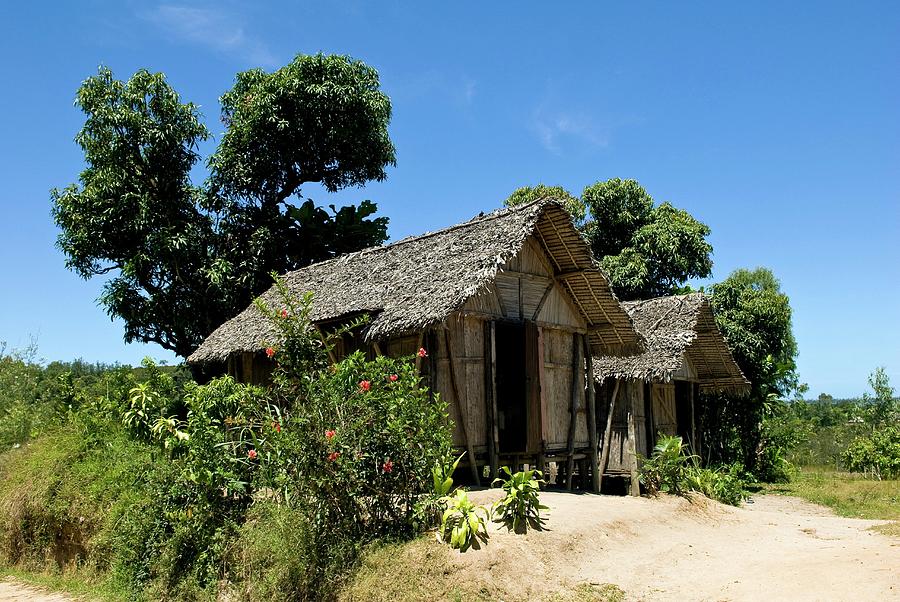 Traditional Hut Photograph by Philippe Psaila/science Photo Library