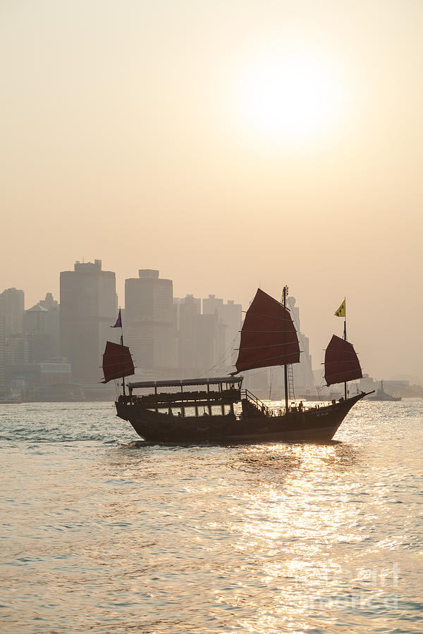 Traditional junk boat sailing in Hong Kong harbor Photograph by Matteo Colombo