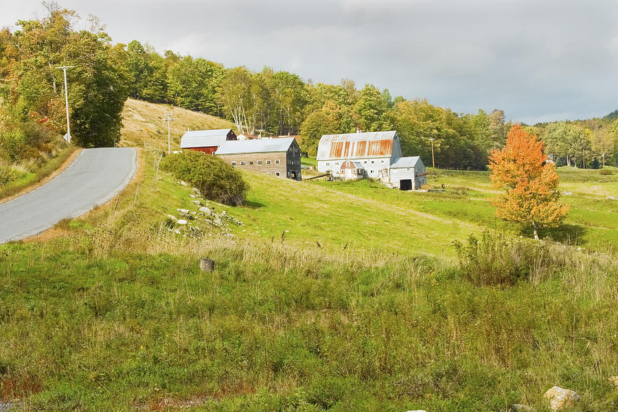 Traditional Maine Farm On Side Of Hill Canvas Poster Prints Photograph by Keith Webber Jr