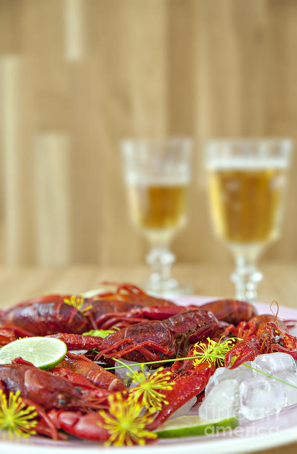 Traditional swedish crayfish meal Photograph by Sophie McAulay